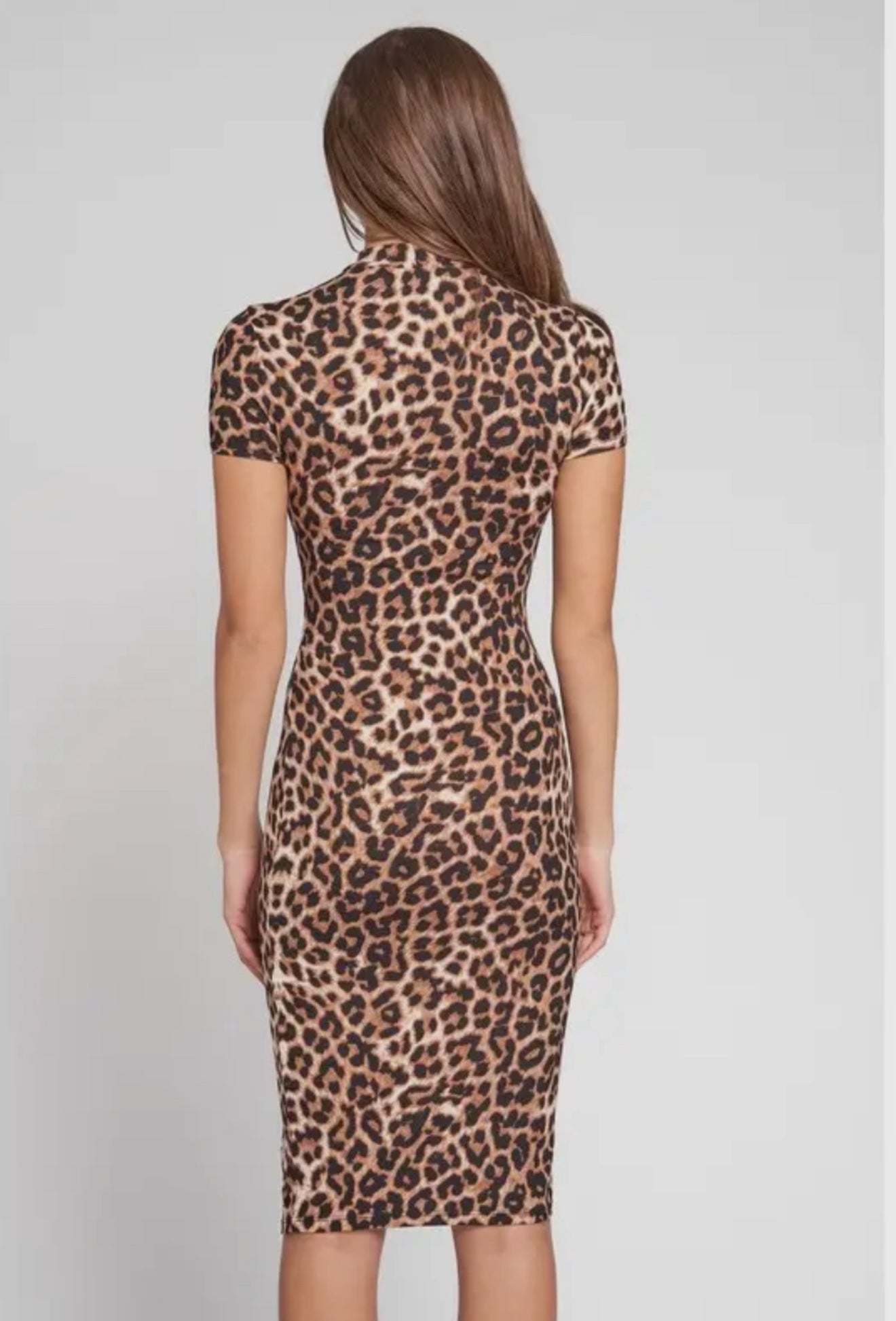 Leopard Print Bodycon Dress